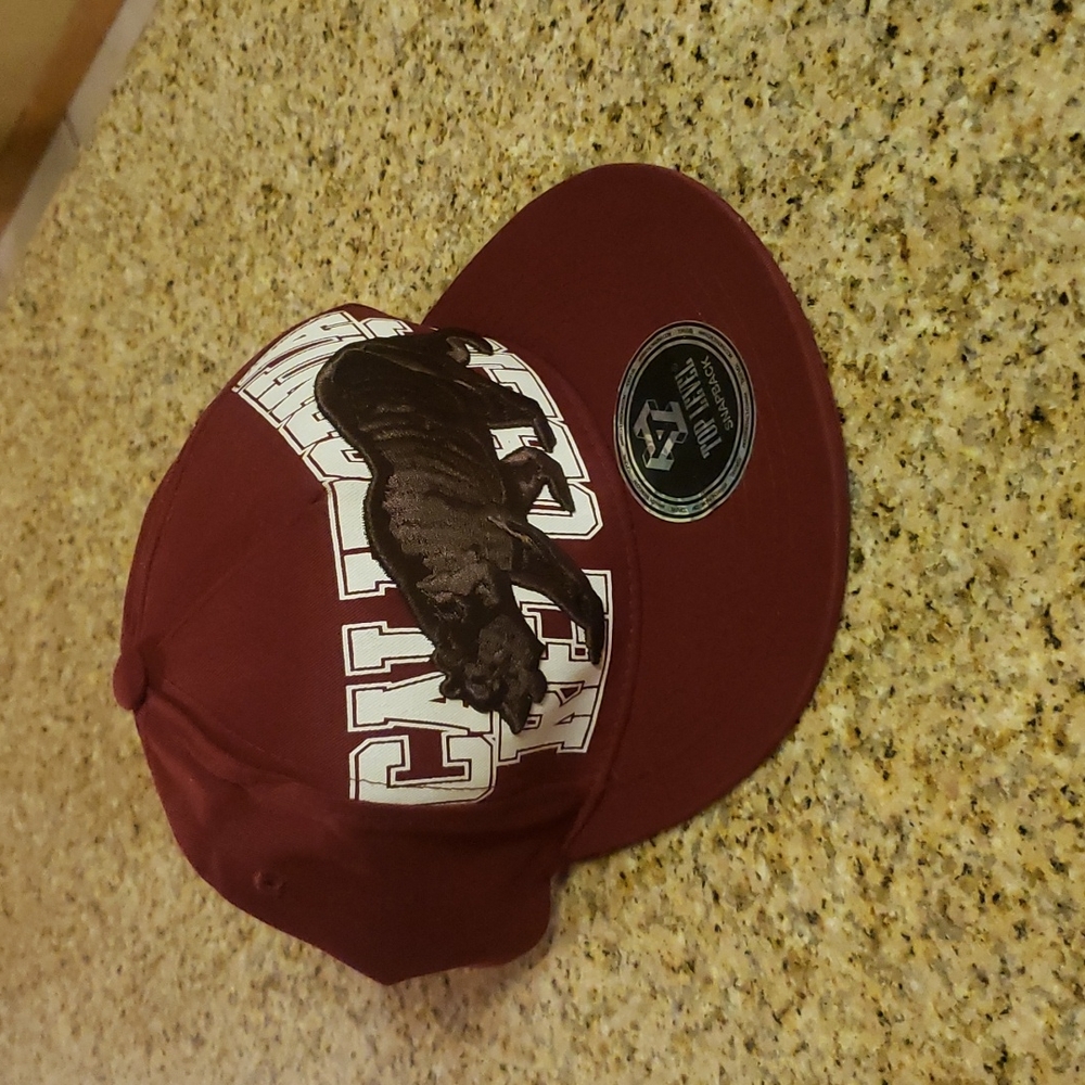 California Republic Snapback Hat